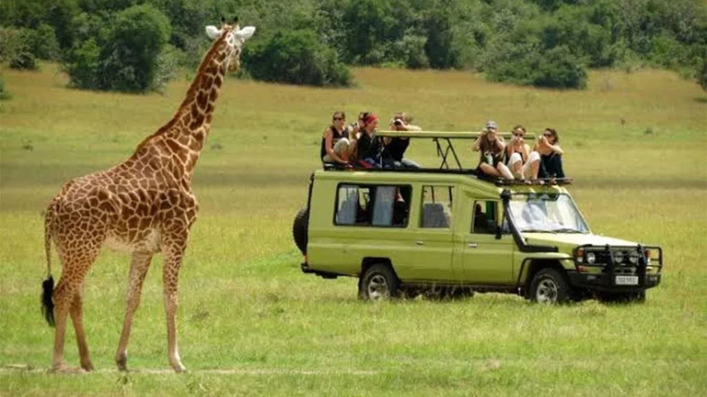 5 Wildlife Adventure Safaris That Will Leave You Breathless